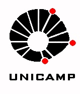 Visite o site da UNICAMP/Visit the UNICAMP web site