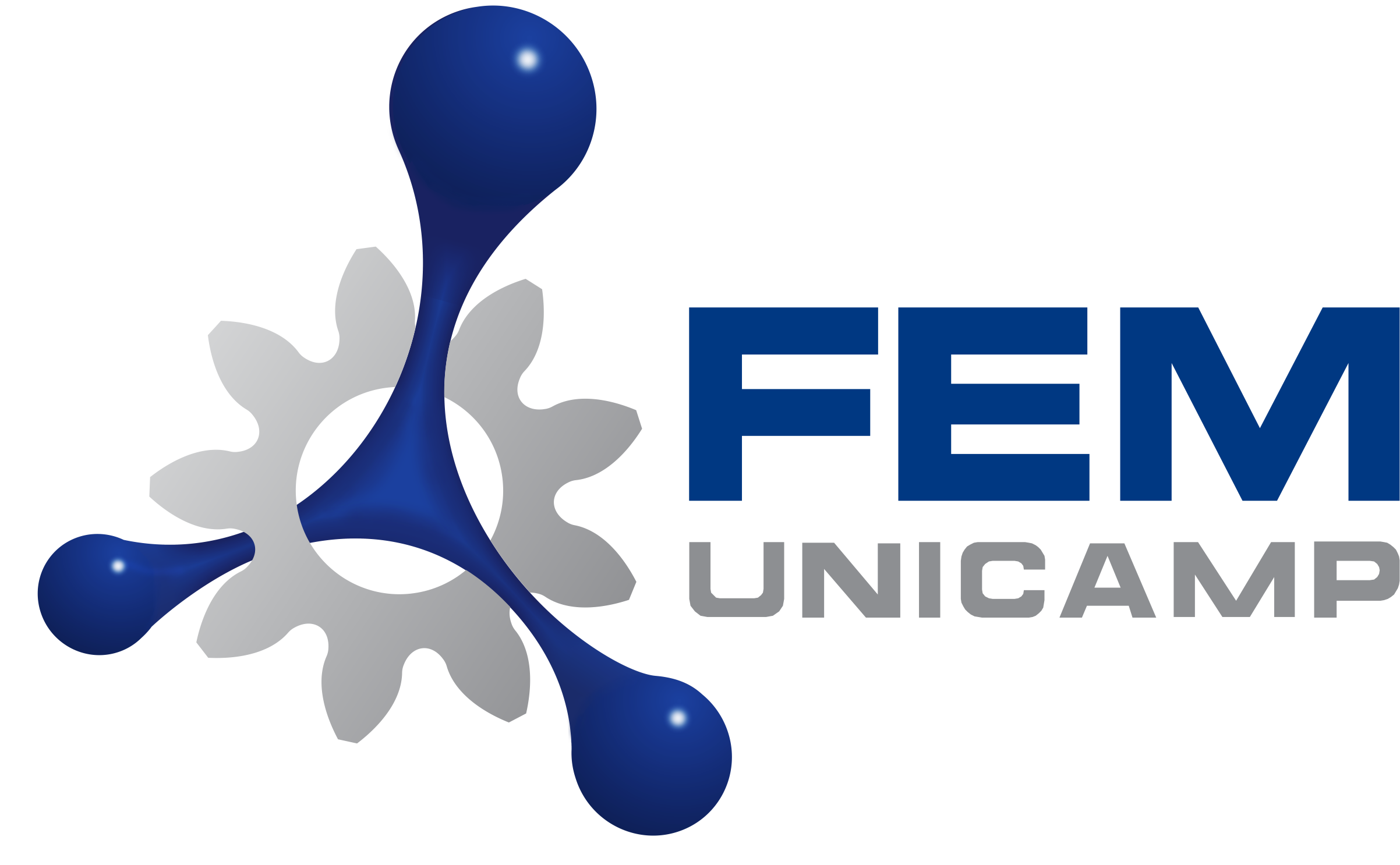Logo FEM Preferencial