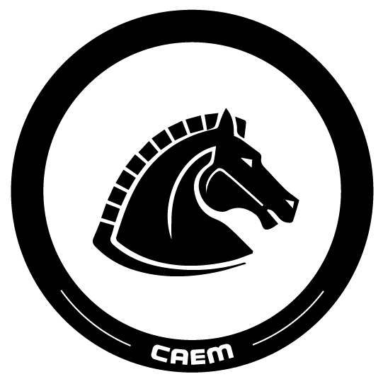 Ícone